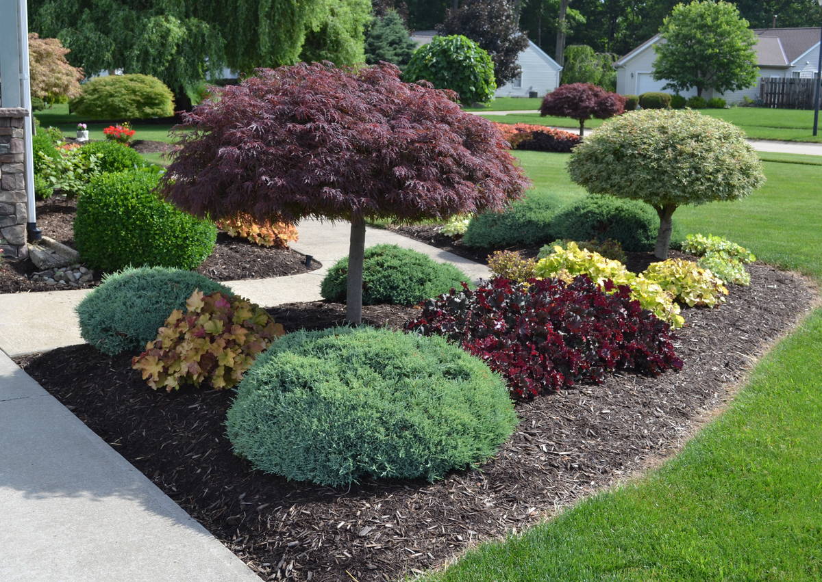 landscaping services near me